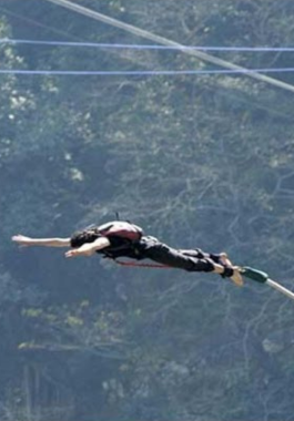 Bungee