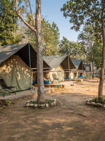 camping5